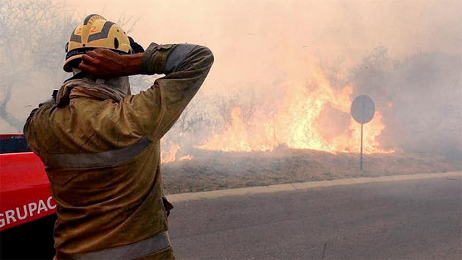 Primer reporte oficial: son 11 las provincias con incendios